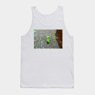 Iao Valley State Monument Study 4 Tank Top